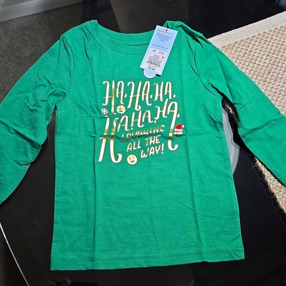 2T Green and gold holiday long sleeve crewneck top - Picture 1 of 4